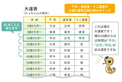 四柱推命 大運|【大運】見方・過ごし方を解説｜10年の運気を占う｜ 